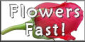 Logo de Flowers Fast