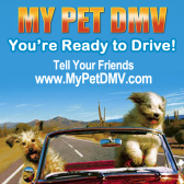 Logo de MyPetDMV